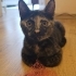 3 AYLIK YAVRU KEDİYE YUVA ARIYORUZ fotoğraf