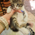 BİBLO GİBİ PELUŞ BEBEK fotoğraf