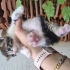 BİBLO GİBİ PELUŞ BEBEK fotoğraf