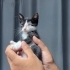 Acil görme engelli bebeğe yuva arıyoruz fotoğraf