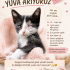 Acil görme engelli bebeğe yuva arıyoruz fotoğraf