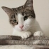 Dişleri yok ama kocaman kalbi var fotoğraf
