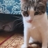 Dişleri yok ama kocaman kalbi var fotoğraf