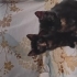 KEŞKÜL ÇOK ÇİRKİNLER AMA Bİ O KADARDA TATLILAR fotoğraf