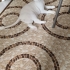 SAKİN YAPILI KEDİMİZE YUVA ARIYORUZ fotoğraf