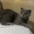 AÇIKLAMAYI OKUYUNUZ LÜTFEN fotoğraf
