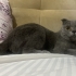 AÇIKLAMAYI OKUYUNUZ LÜTFEN fotoğraf