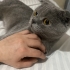 AÇIKLAMAYI OKUYUNUZ LÜTFEN fotoğraf