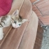 Annesi alınmış tek başına fotoğraf