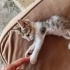Annesi alınmış tek başına fotoğraf
