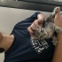 Tatlii bebiiss limaa fotoğraf