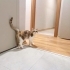 Arven Yuva Arıyor fotoğraf