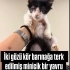 Kör Yavruya Çok Acil Yuva fotoğraf