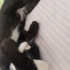 3 aylik oyun delisi dişi kızımız fotoğraf
