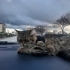 Lidyamıza yuva arıyoruz fotoğraf
