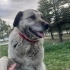 NAZMİ LUCY KALICI YUVASINI ARIYOR fotoğraf