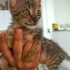 Ücretsiz,sevimli,oyuncu bebek fotoğraf