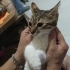 Sokağa gitmesin fotoğraf