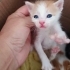 Annesiz kalan 2 kardeş fotoğraf