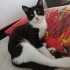 Güzel kızımıza yuva fotoğraf