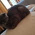 Kızımız için ömürlük yuva fotoğraf