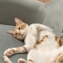 Ömürlük Bir Yuva fotoğraf