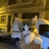 2 Aylık tekir kedilerimiz sıcacık ve mutlu bir yuva arıyor fotoğraf