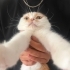 BEHLÜL ACİL YUVA fotoğraf