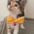 Daisy’ye ömürlük yuva fotoğraf
