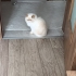 Dünyanın en tatlısı fotoğraf