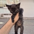 Sokakta hayatta kalamayacak kadar kucuk fotoğraf