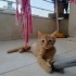 Çok acilll yuvaaa fotoğraf