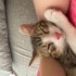 Acil yuva arıyoruz fotoğraf