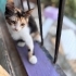Çok insancıl , neşe dolu bir prenses fotoğraf
