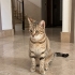 LÜTFEN SICAK BİR YUVAM OLMASINA İZİN VER.. fotoğraf