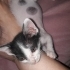 SICAK YUVA ARIYORUZ ONU SEVECEK BİR AİLE fotoğraf