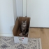 Felicia'nın yeni sahibine fotoğraf