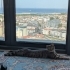 Felicia'nın yeni sahibine fotoğraf