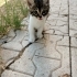 Acil Yuva Arıyoruz fotoğraf