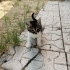 Acil Yuva Arıyoruz fotoğraf