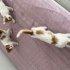 3 Tatlı Bebişlere aile arıyoruz. fotoğraf