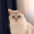 COK SIKILıyorrrrr fotoğraf