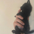 Yavru kedi acilen eve ihtiyacı var fotoğraf
