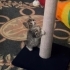 MİNİK OĞLANA ÖMÜRLÜK YUVA fotoğraf
