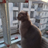 ACİL ÖMÜRLÜK YUVA fotoğraf