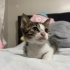 2 AYLIK AŞILARI TAM fotoğraf