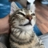 Çakırı vurmuşlar fotoğraf