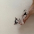 🐾 4 minik patili, ömürlük yuvalarını arıyor 🐾 fotoğraf
