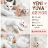 Bembeyaz bi yumak fotoğraf