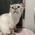 ÖMÜRLÜK YUVA ACİL fotoğraf